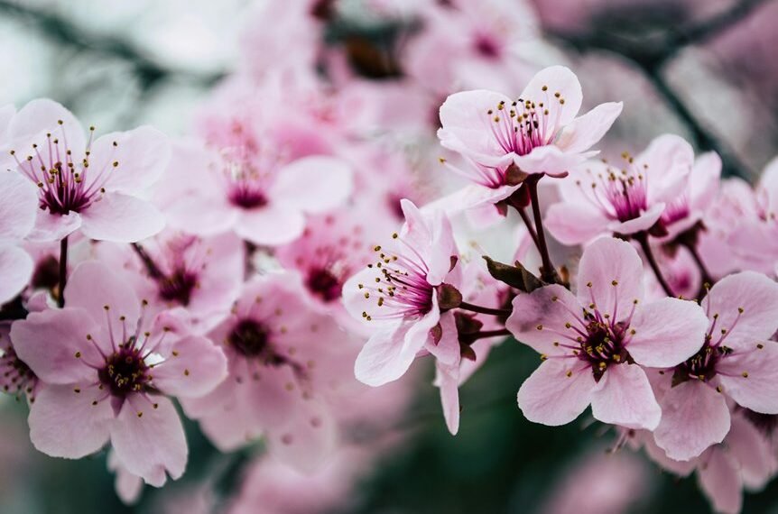 digital growth for websites