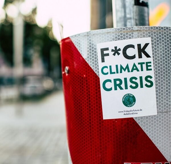 Expert Online Campaigns 911549040 to Increase Traffic